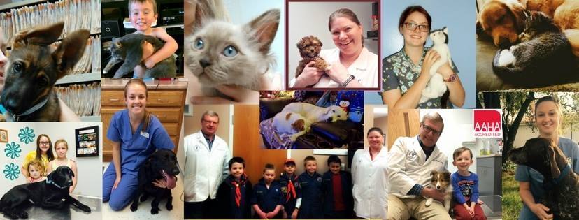 Washington Veterinary Medical Clinic Photo