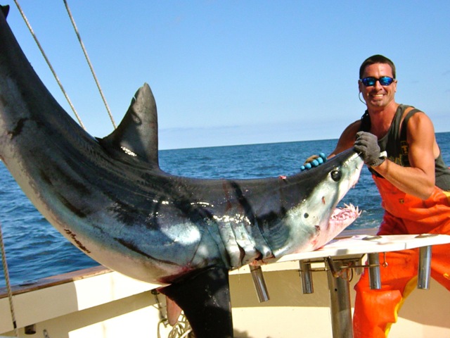 Images Captain Art's Fishing Charters