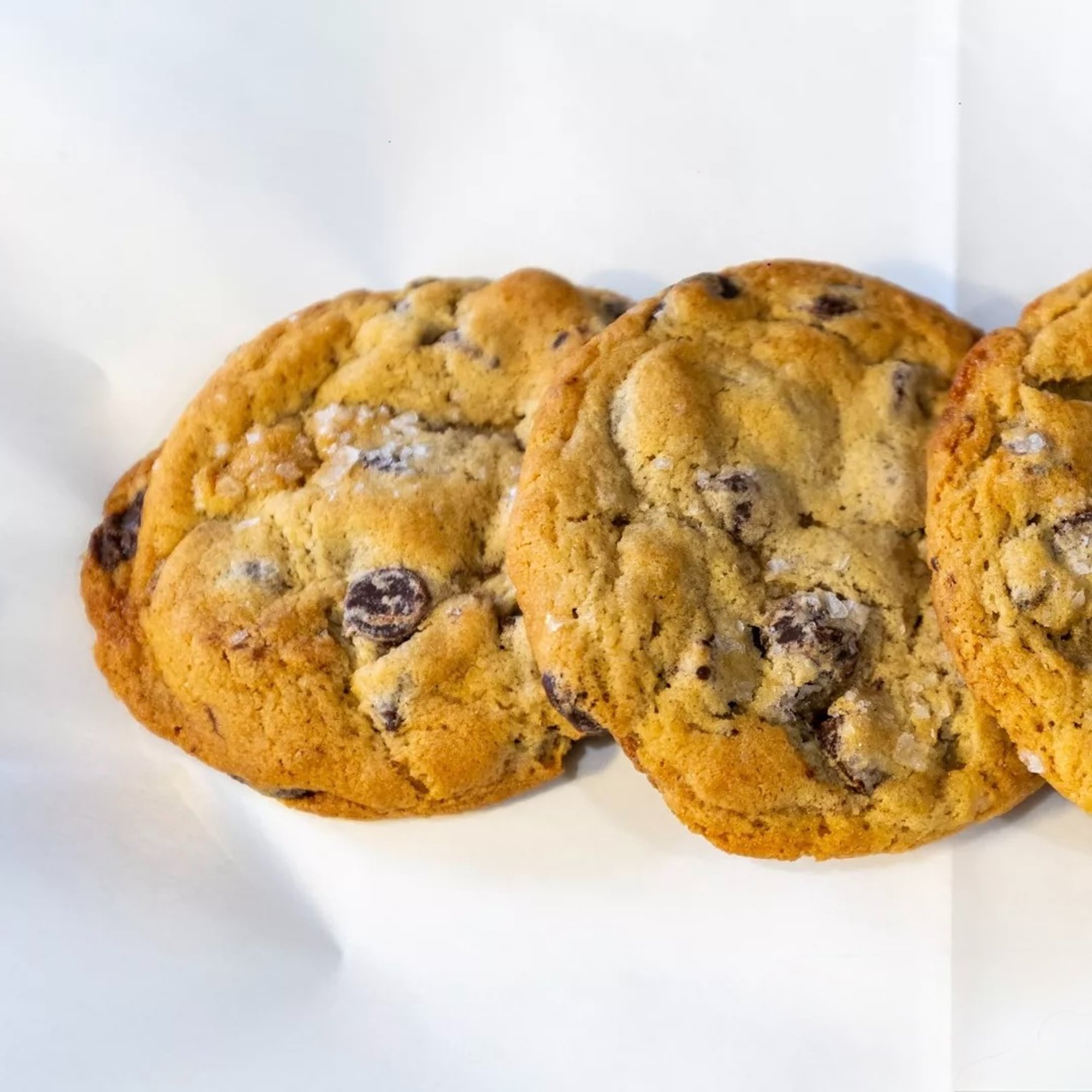 Homemade Chocolate Chip Cookie