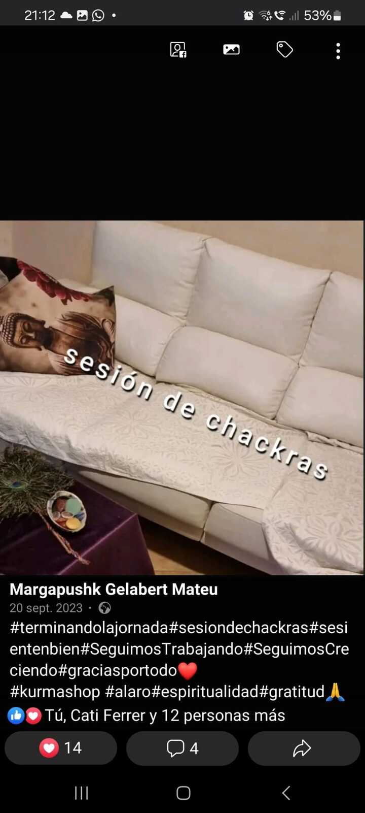 Galería en miniatura