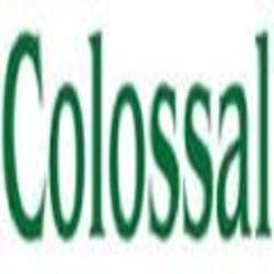 Colossal Construction, Inc.