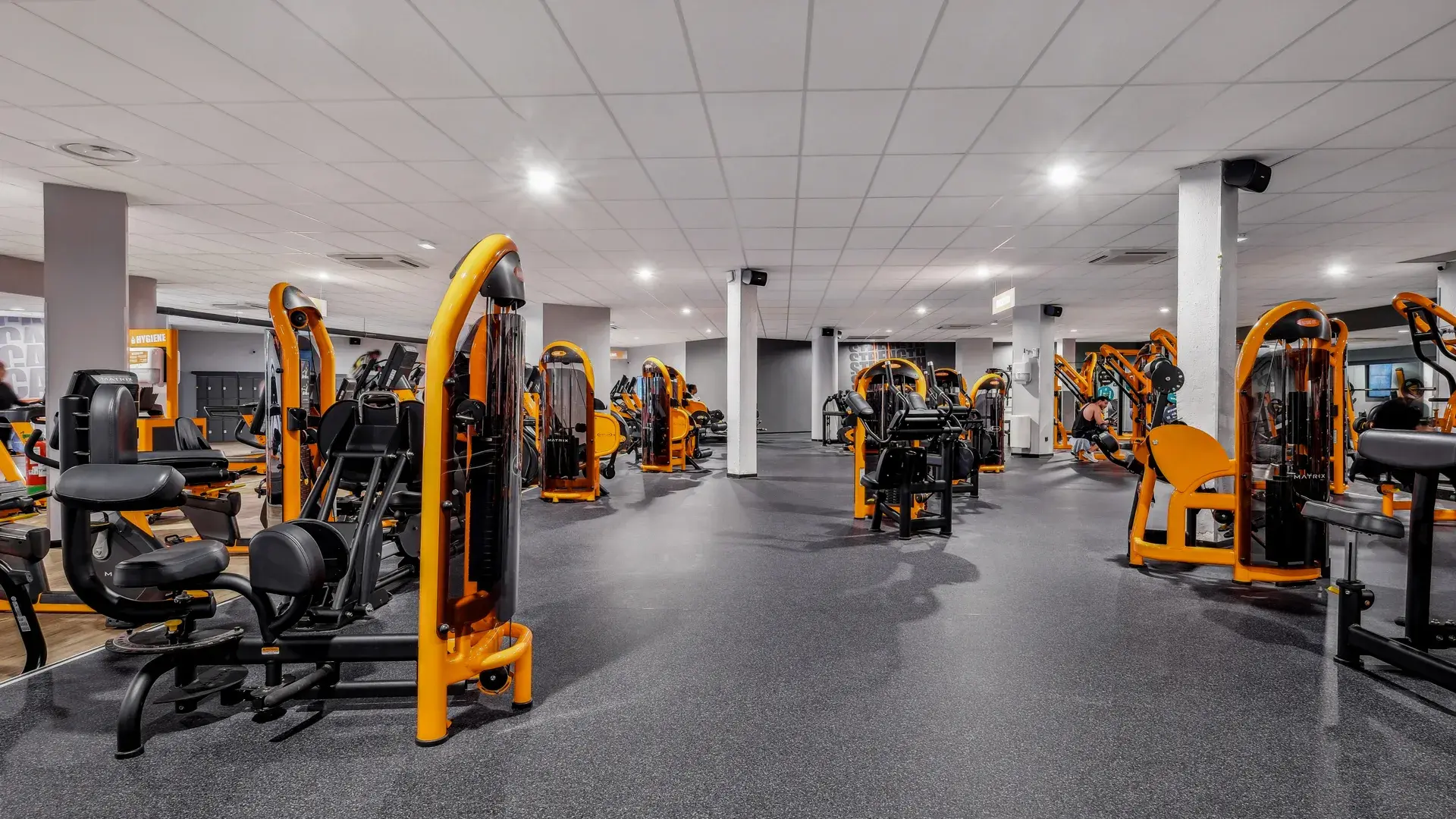 Miniature de la galerie