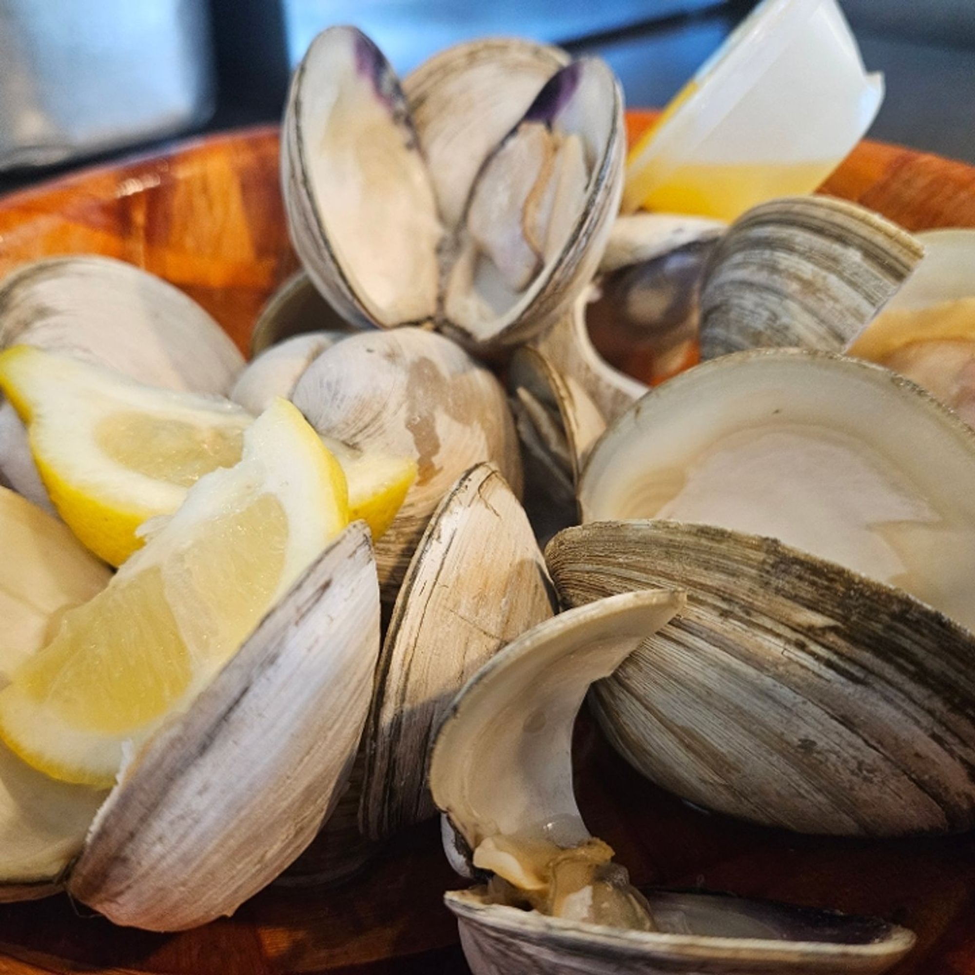 Wednesday - Raw Clams (10)