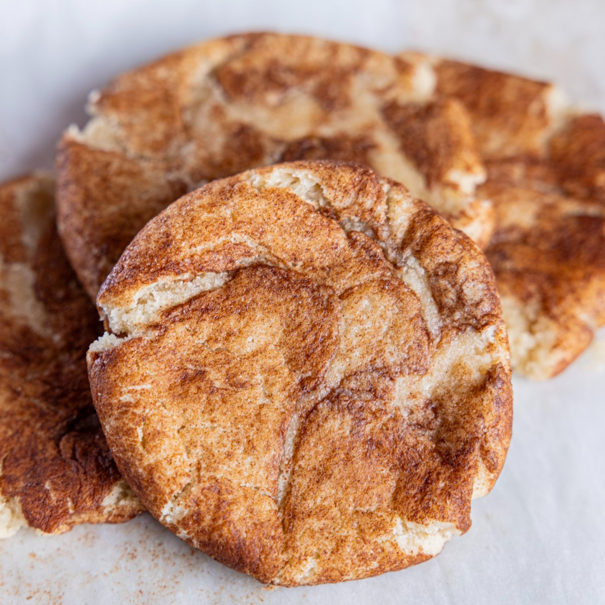 Homemade Snickerdoodle Cookie
