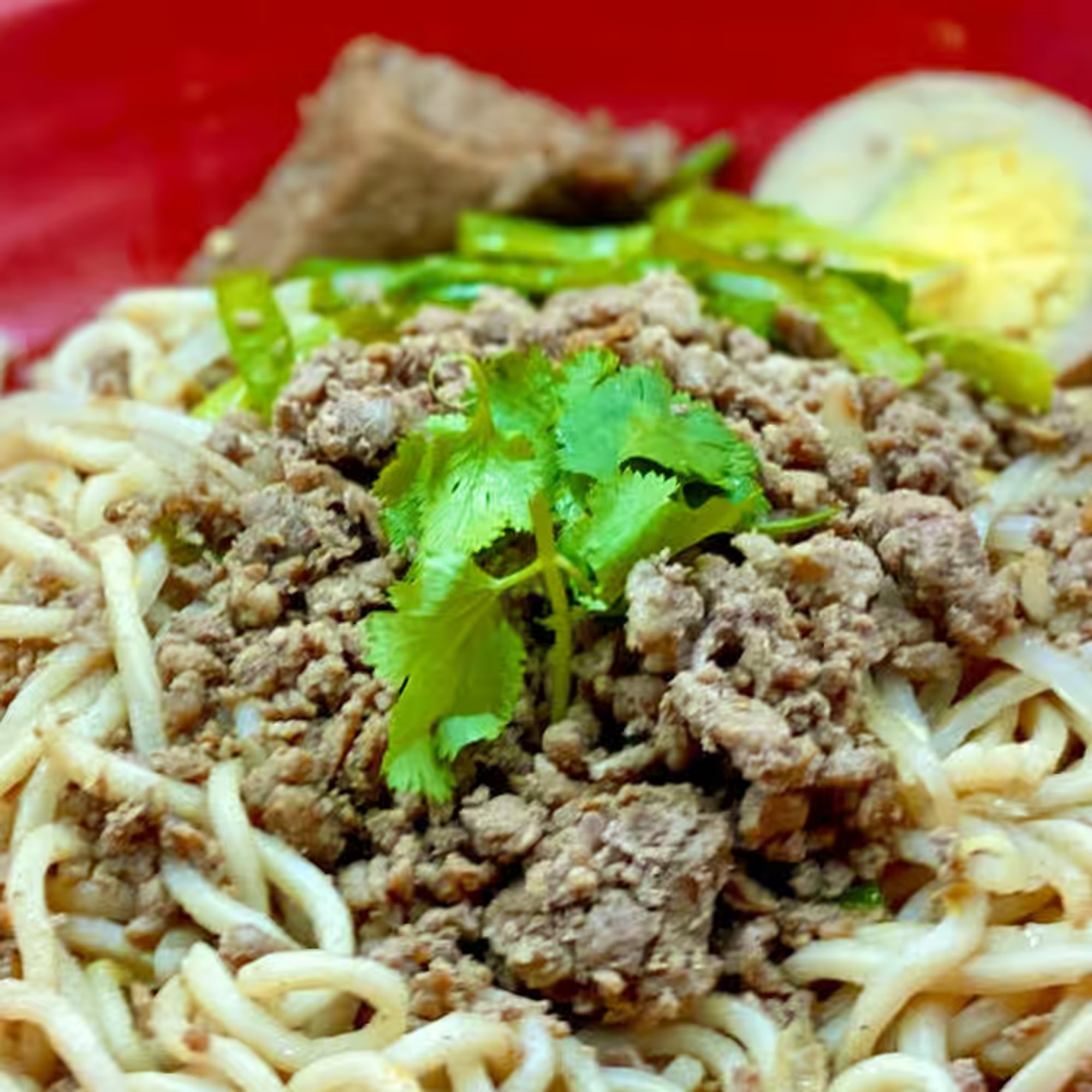 Minced Pork Noodle Soup with Egg 臺南肉燥湯麵加蛋