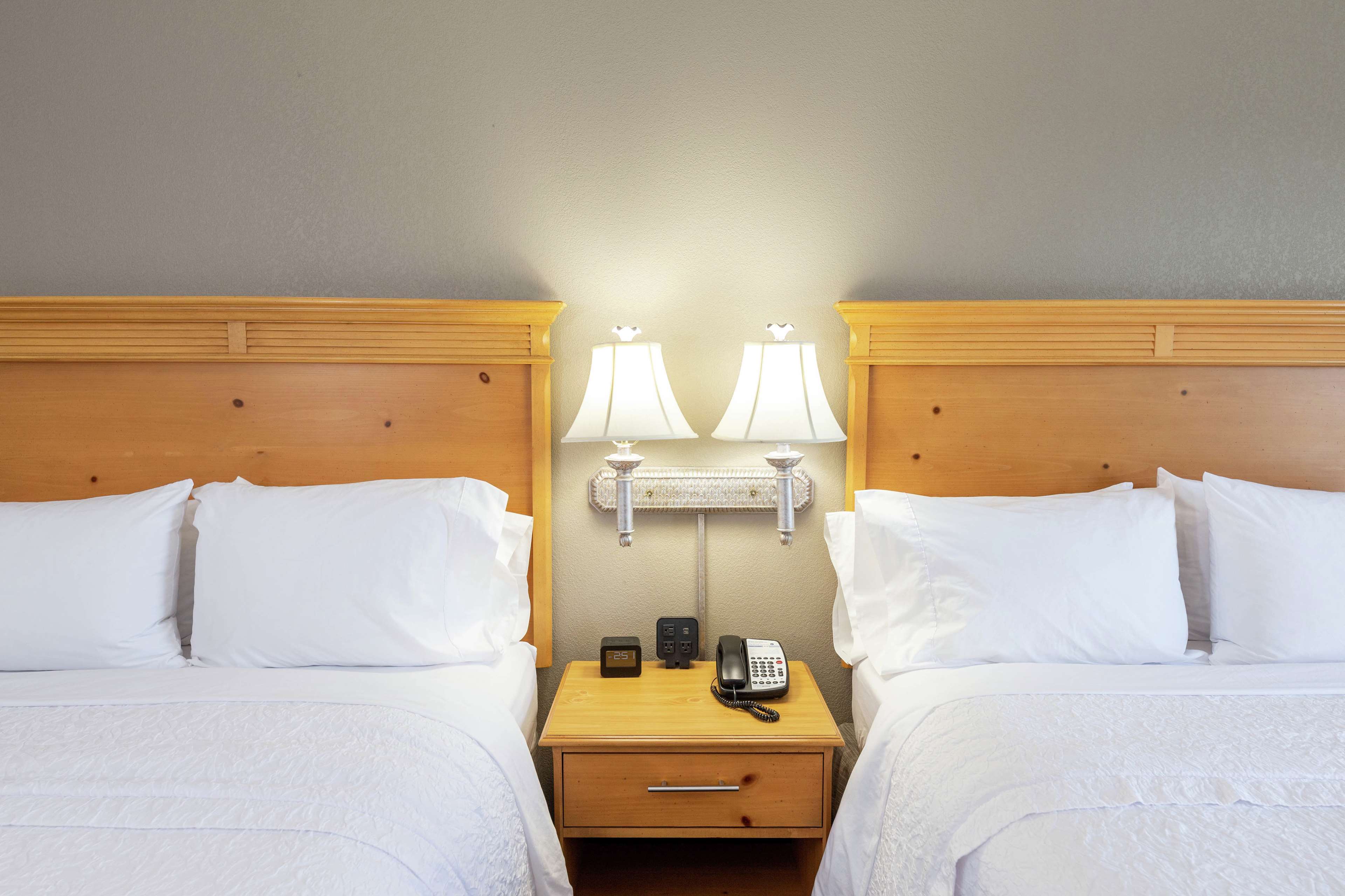 Hampton Inn & Suites Jacksonville Deerwood Park Photo