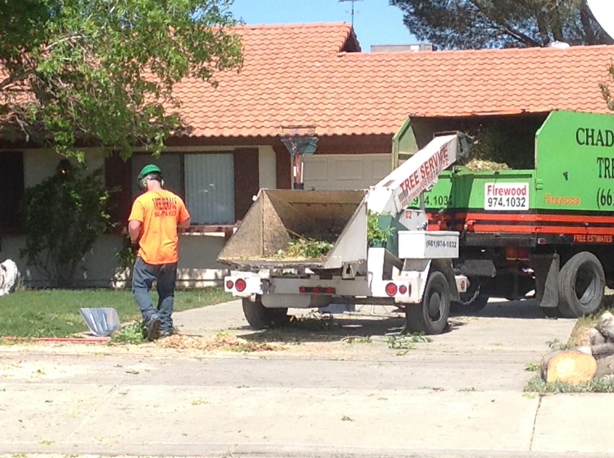 Chads Chippers Tree Service Photo