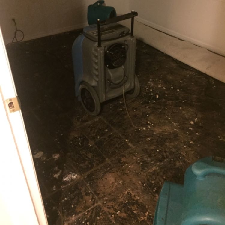 Admiral Steamer Cleaning & Restoration Image