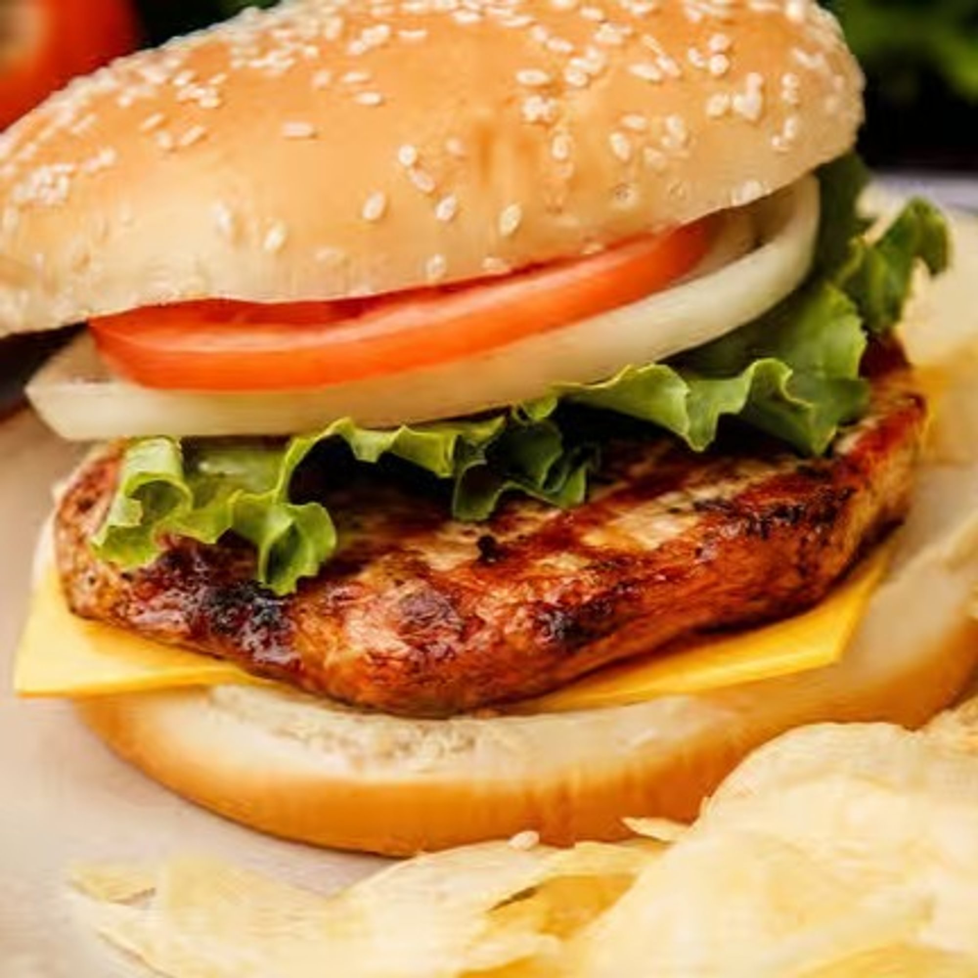 Grilled Pork Chop Sandwich