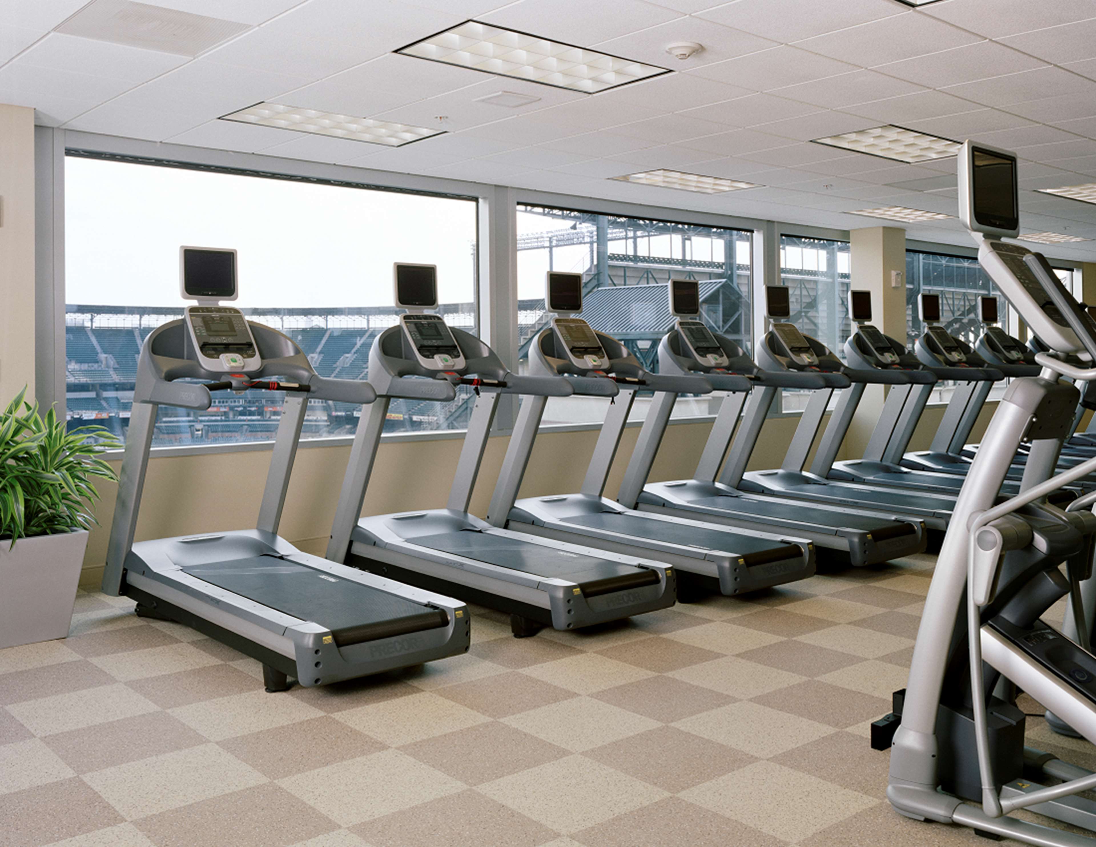 Health club  fitness center  gym