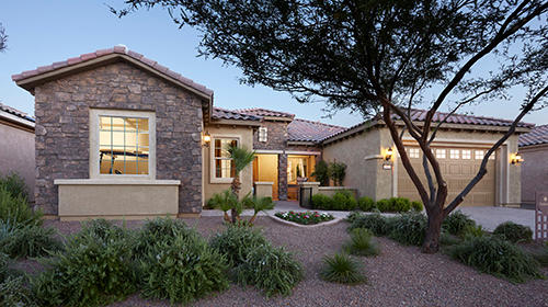 Del Webb at Dove Mountain Photo