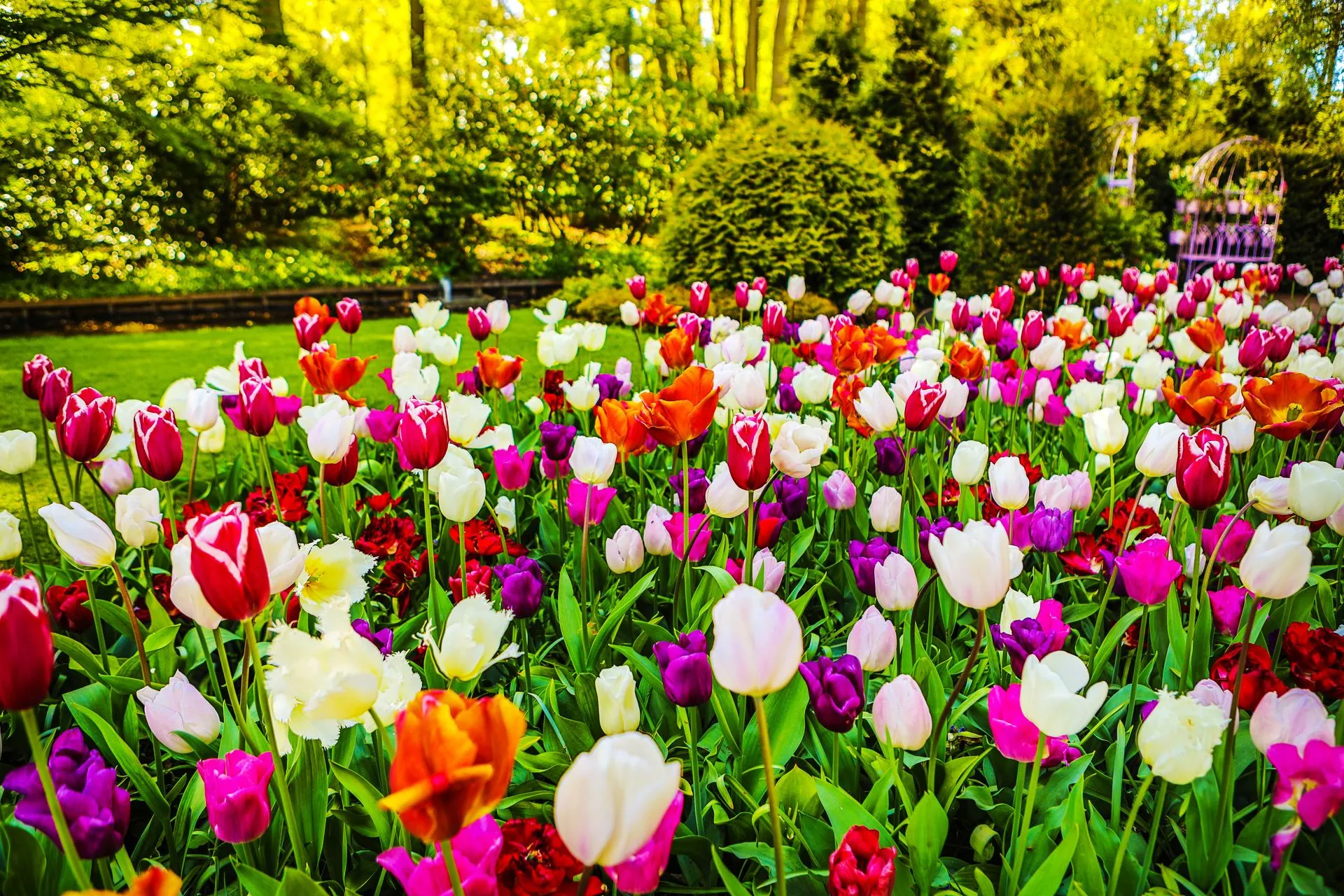 Flower Bed Planting