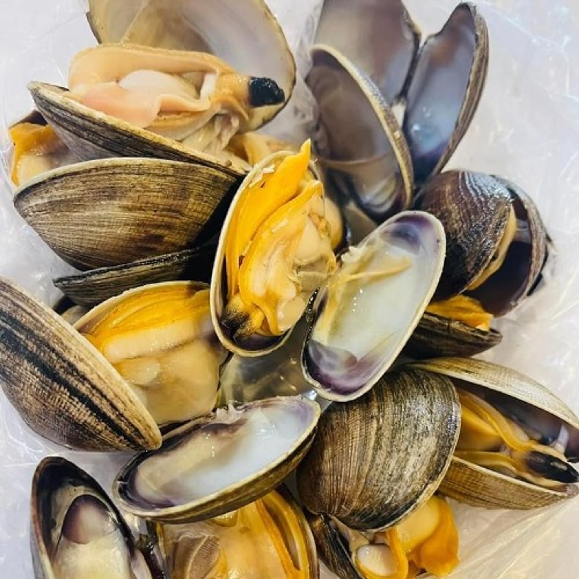 Manila Clams