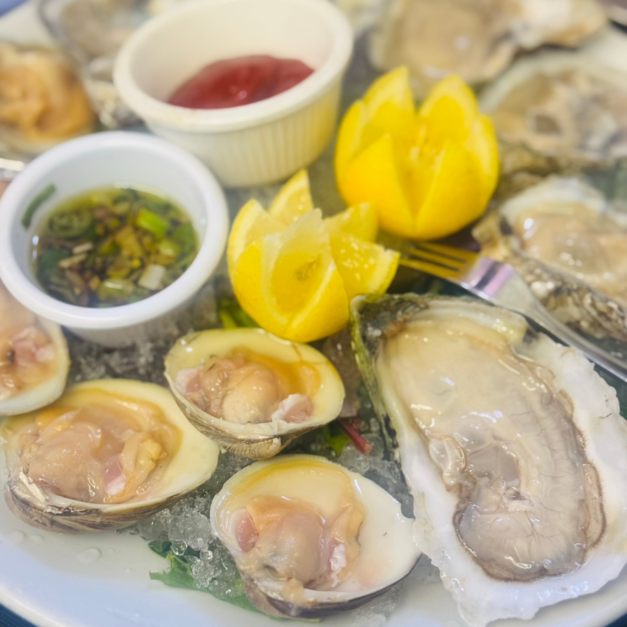 Little Neck Clams