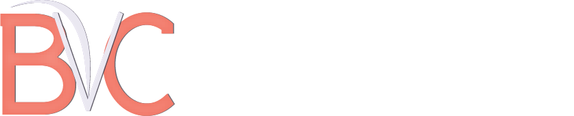Baltimore Vascular Care Logo