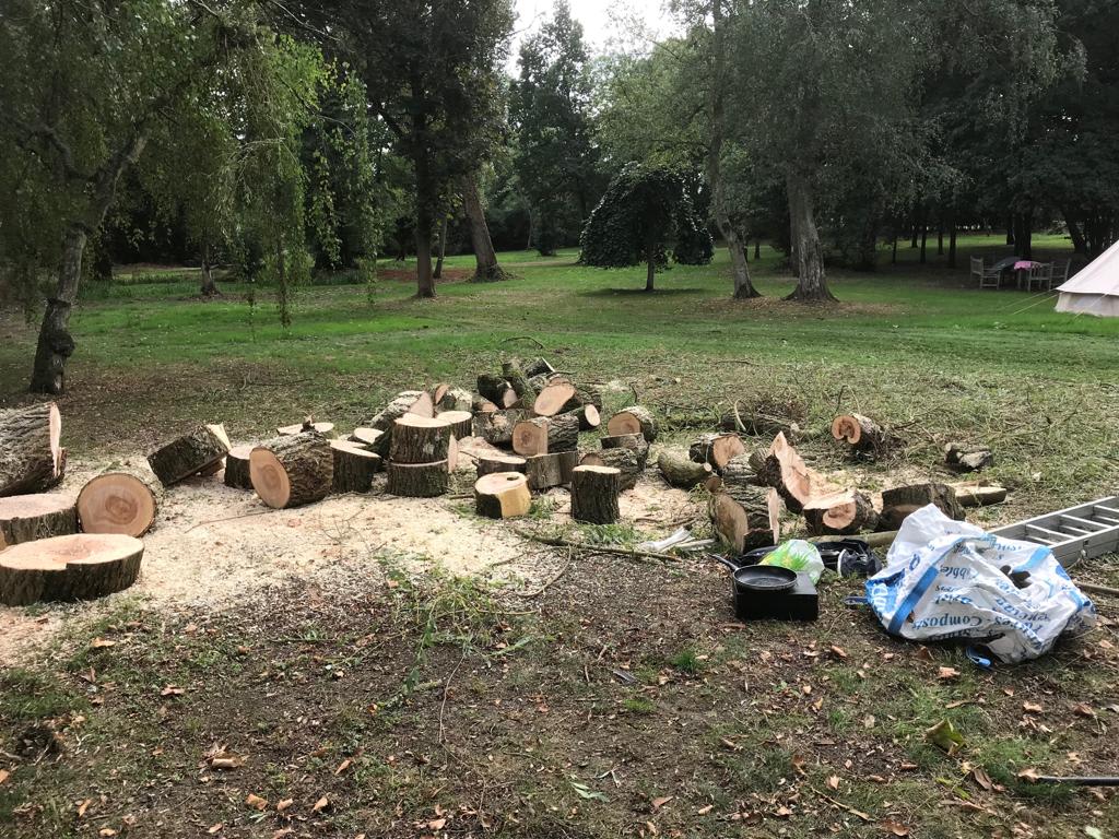 Images Tree & Garden Services