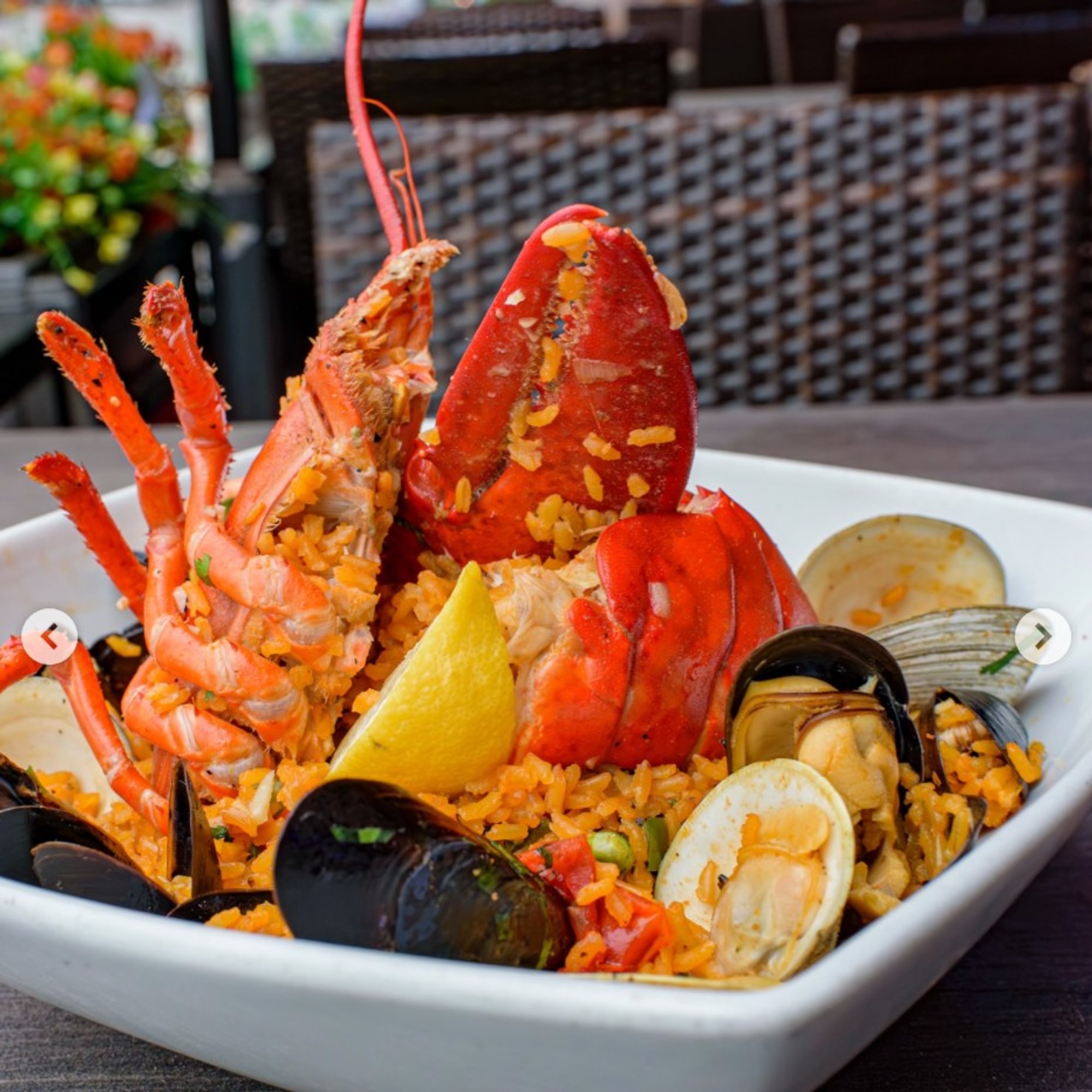 Paella Sangria (Sangria Seafood Saffron Rice)