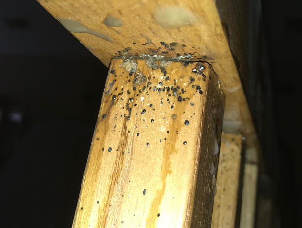 Images Hi-Tech Pest Control, LLC