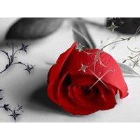 Erotic Mobile Massage/BodyRub Logo