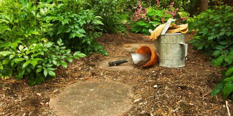 Top 4 Mulching FAQs Answered by Landscaping Experts