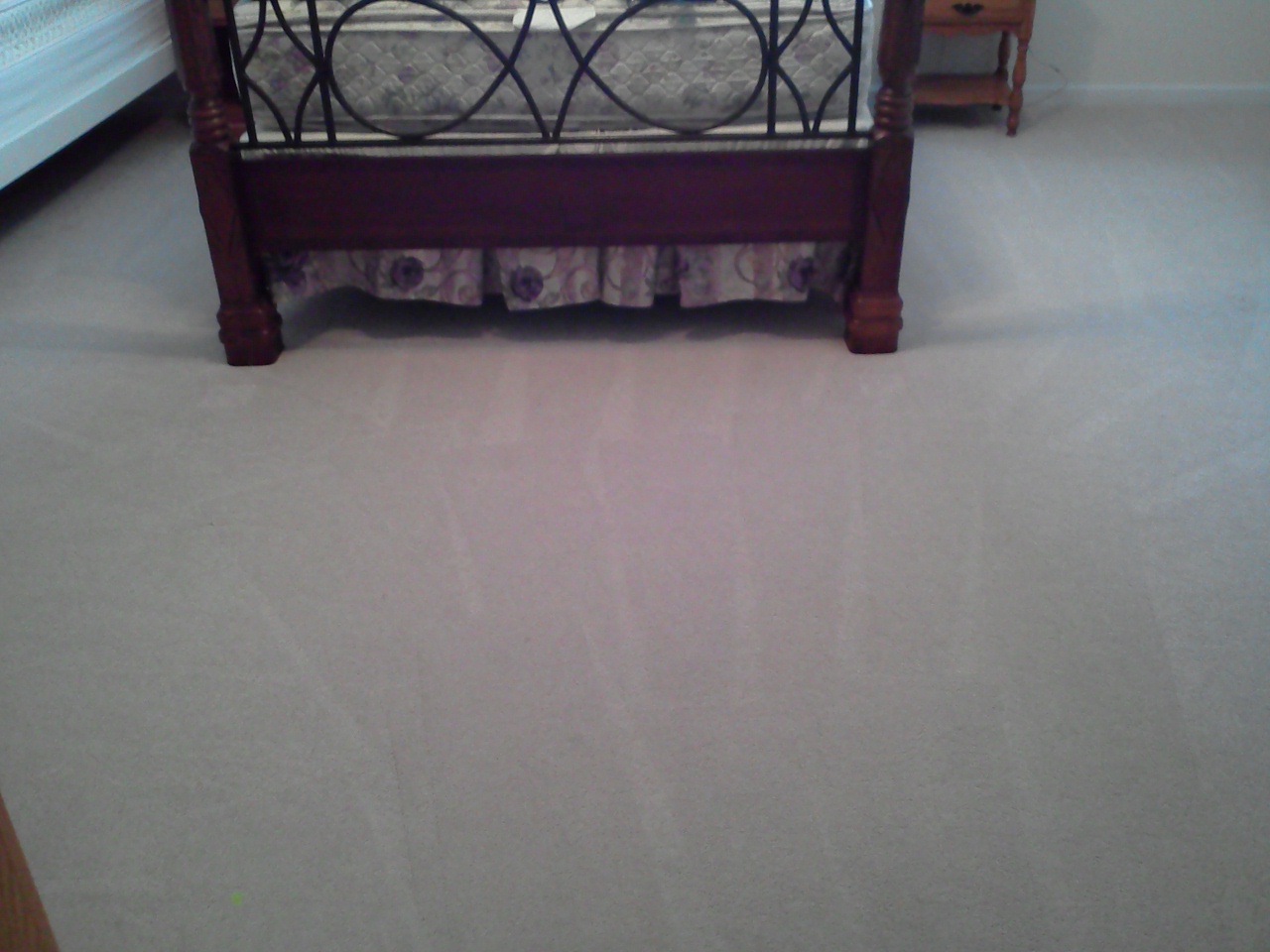 jenbricarpetcleaningorlando.com Image