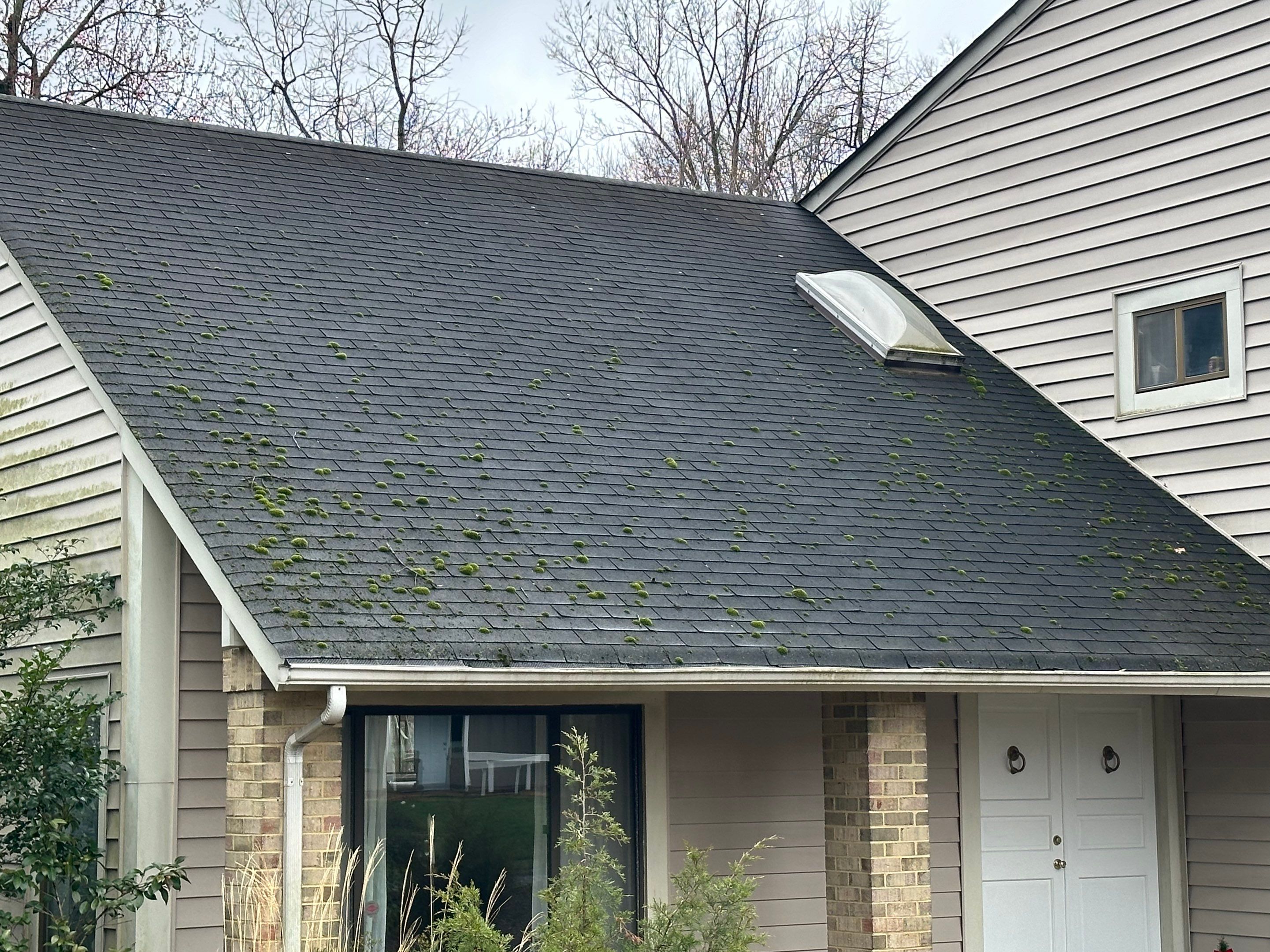 Radiant Home Services Image