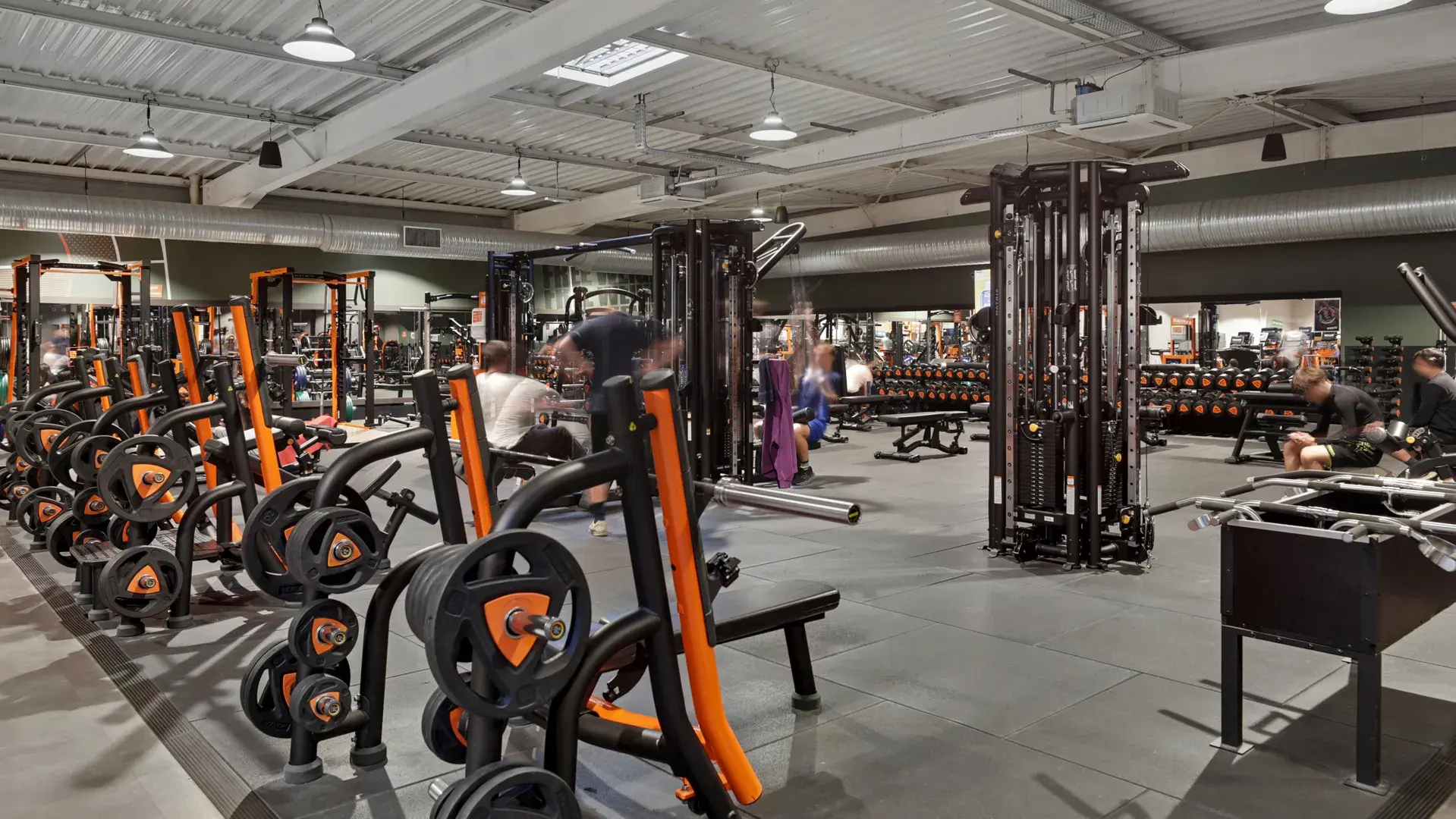 Miniature de la galerie