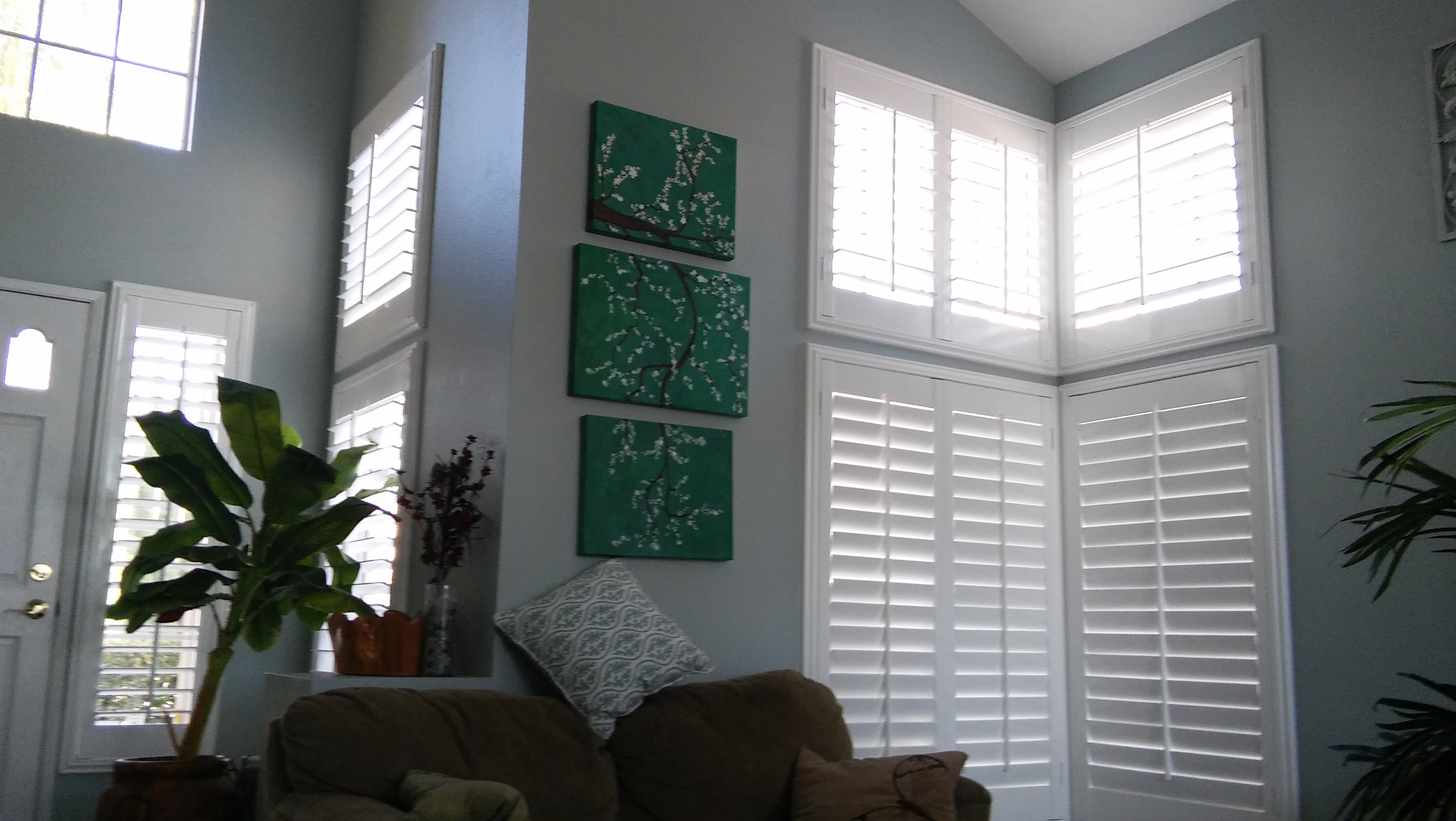 Ramiro's shutters Image