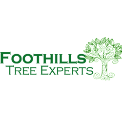 Foothills Tree Experts