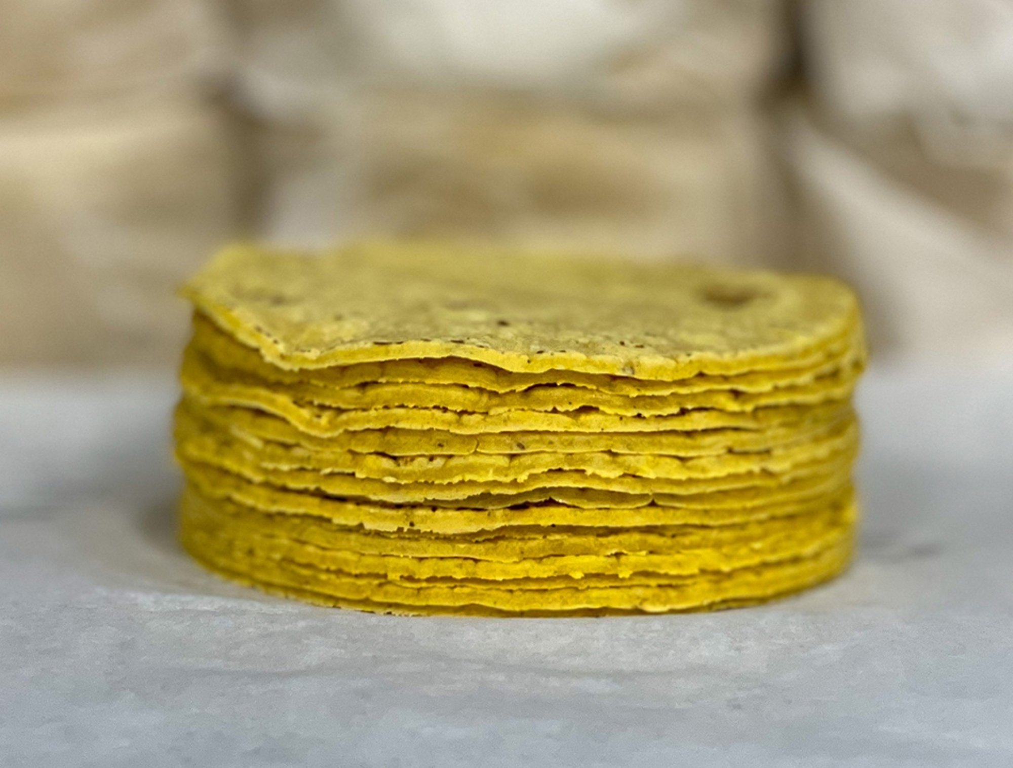 A Dozen Tortillas