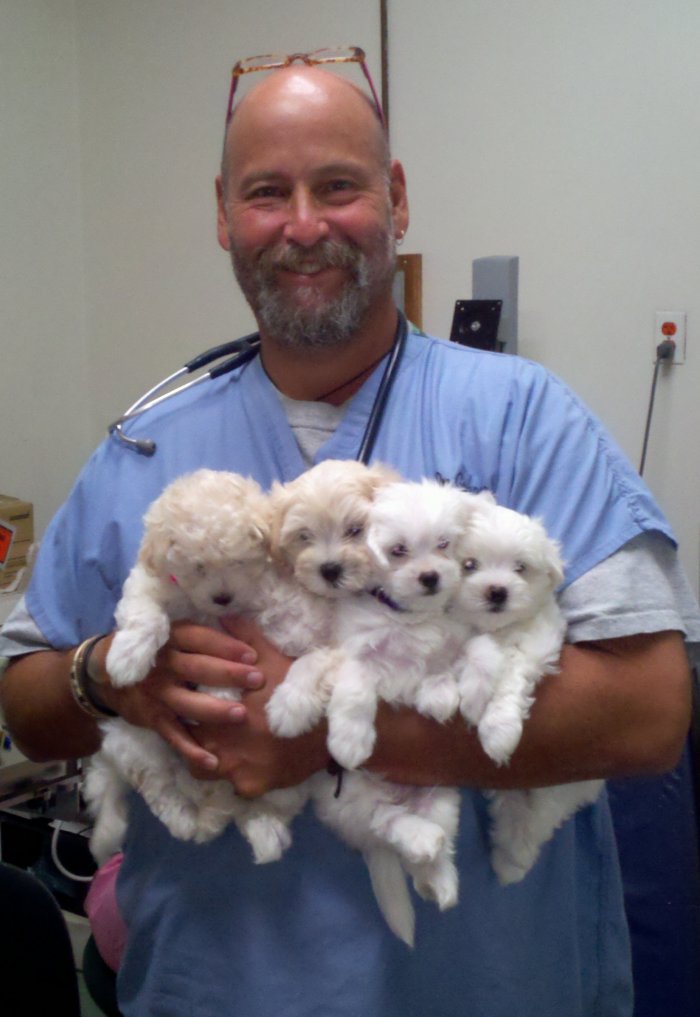 VCA Brookline Animal Hospital Photo