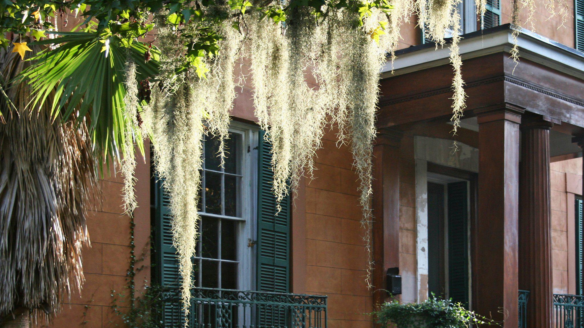 Hotel Indigo Savannah Historic District Photo