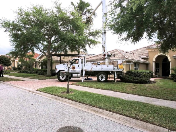 Images Ultimate Lawn Care & Tree Division