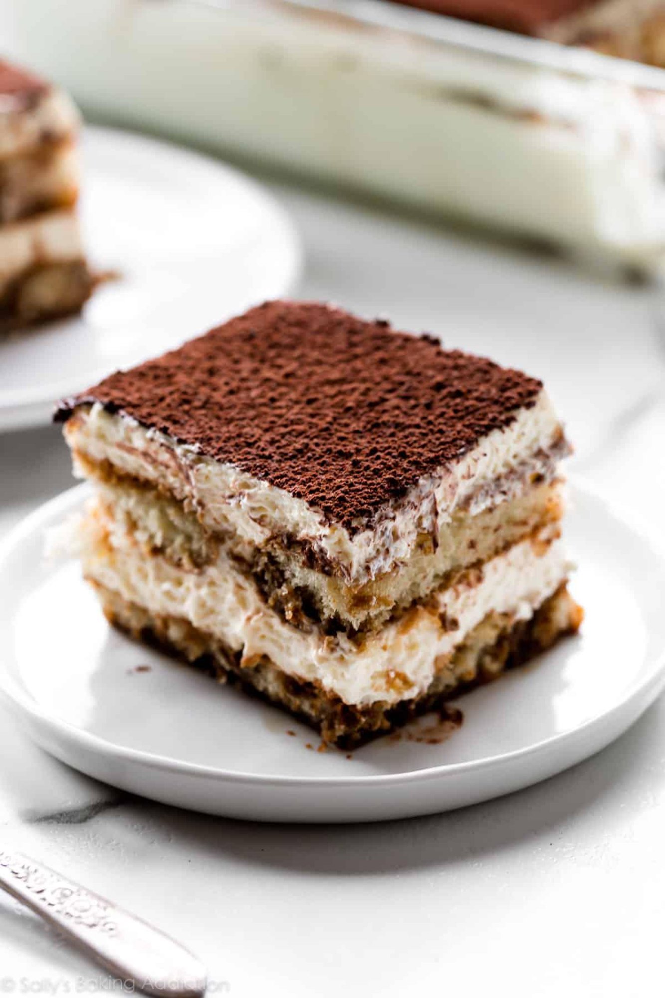 TIRAMISU SLICE