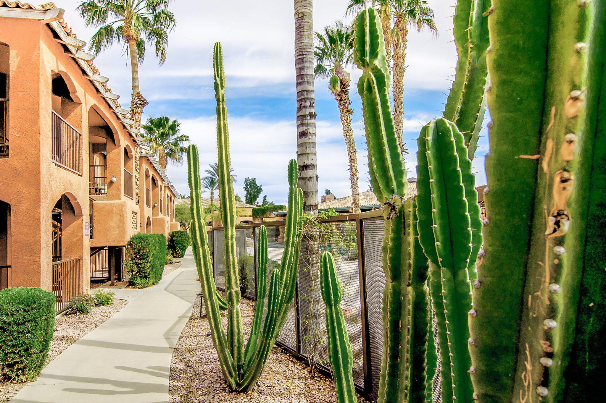 Holiday Inn Club Vacations Scottsdale Resort Photo