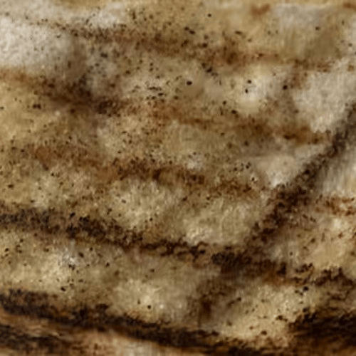 Grilled Sourdough Bread