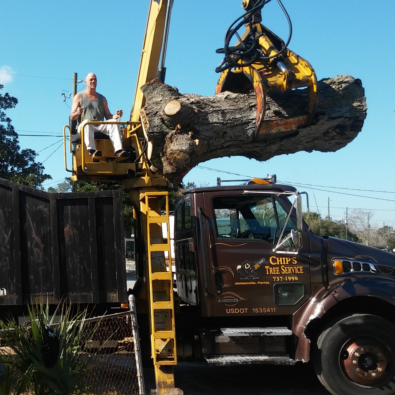 Chip's Tree Service Photo