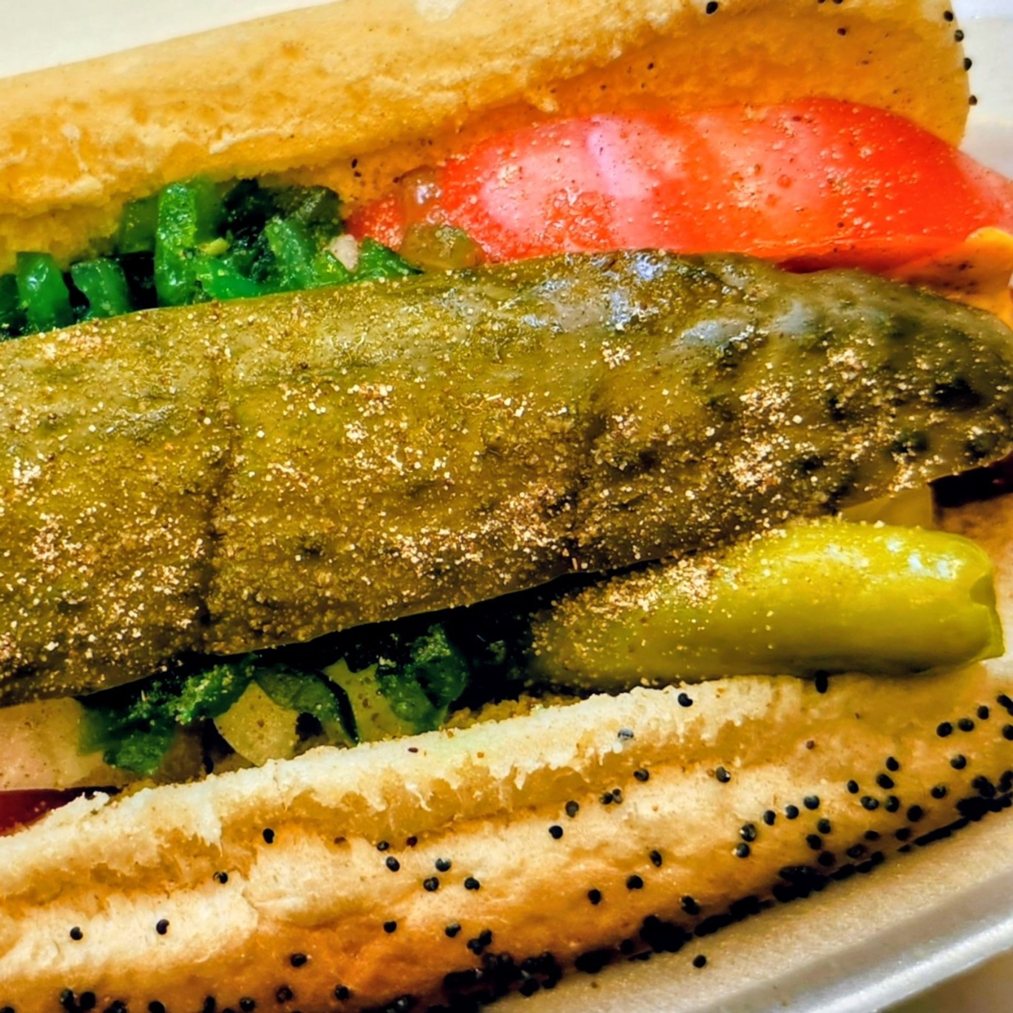 Chicago Style Hot Dog
