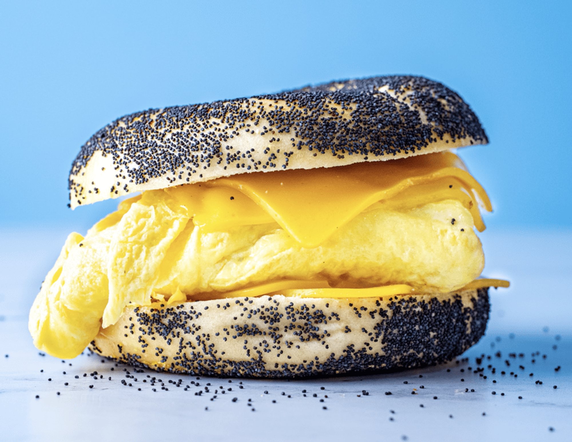 Egg & Cheese Sandwich