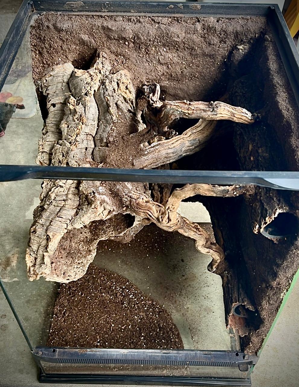 Terrarium Station Image