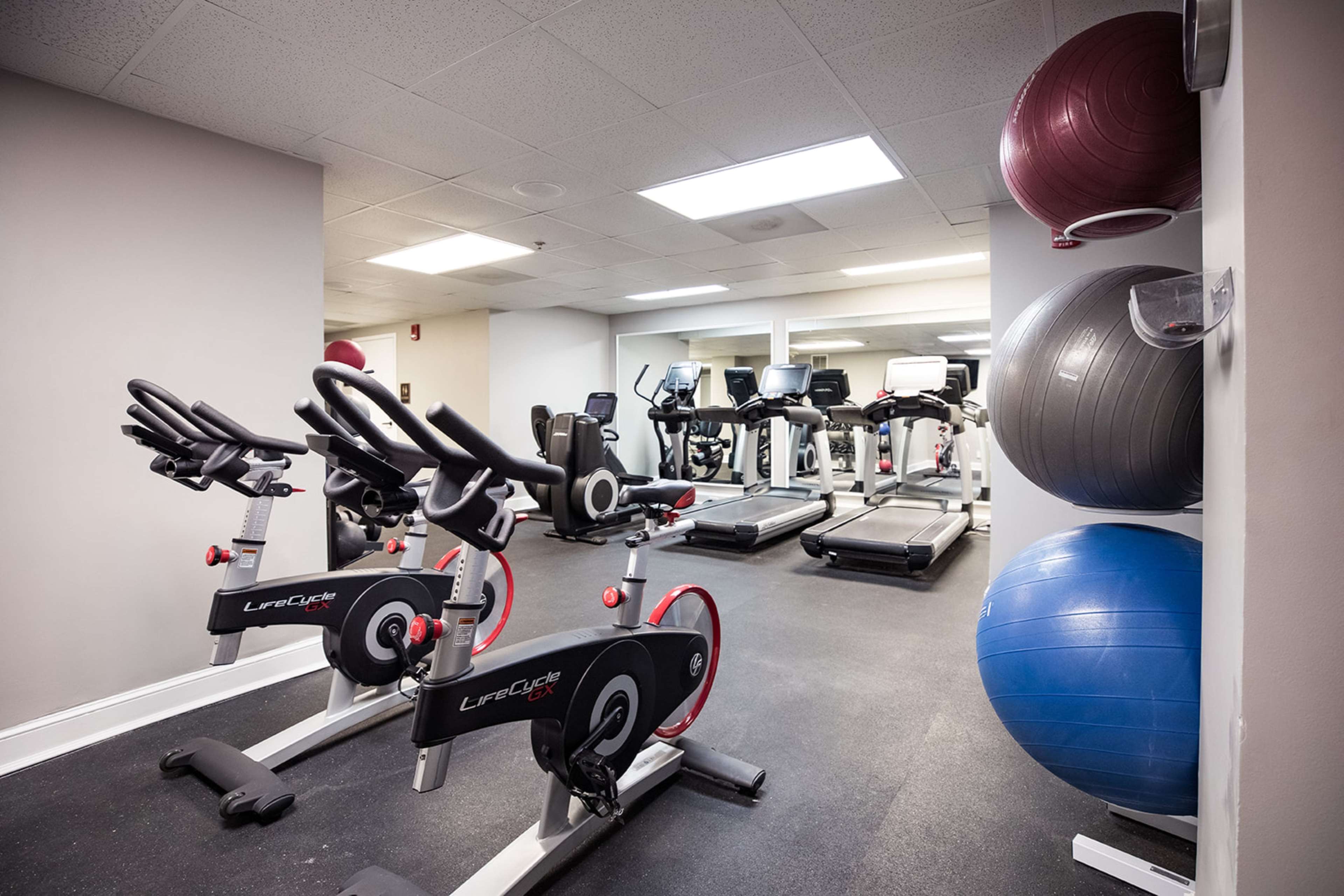 Health club  fitness center  gym