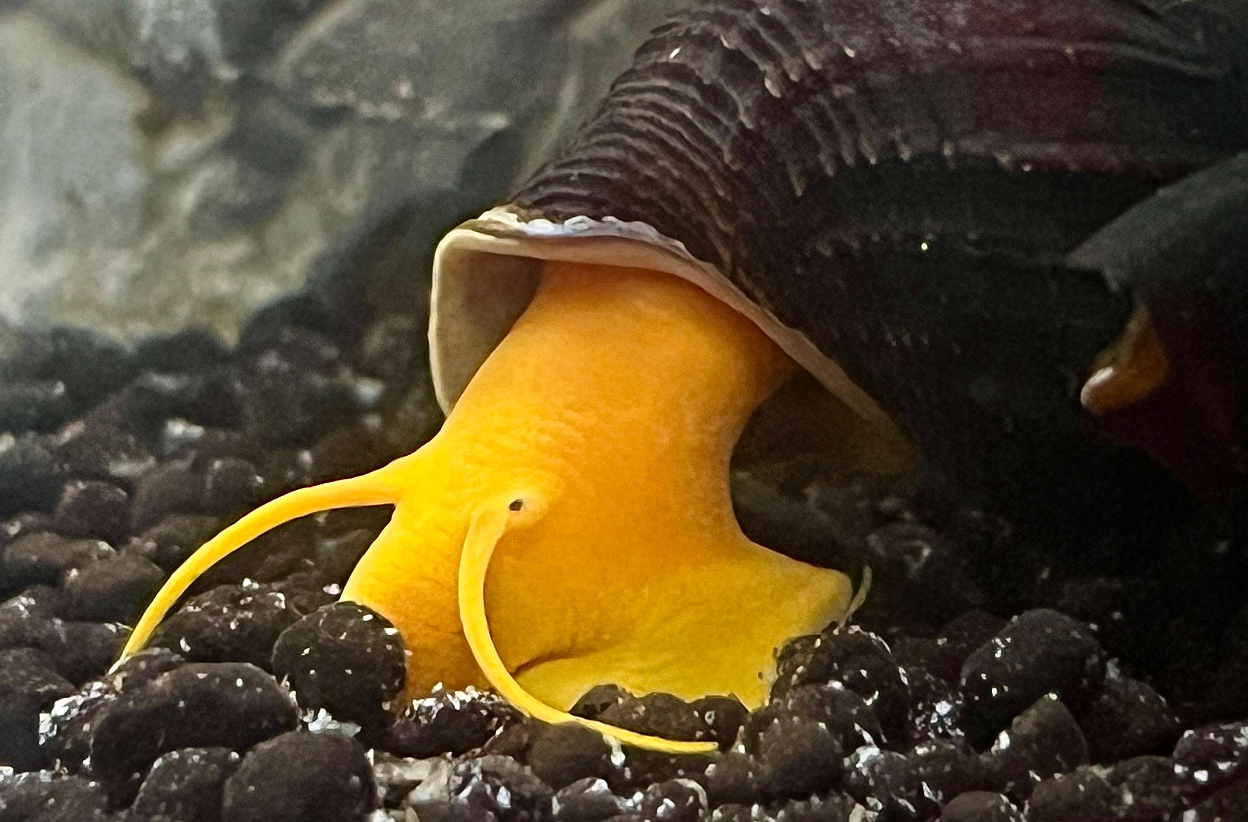 Terrarium Station Image