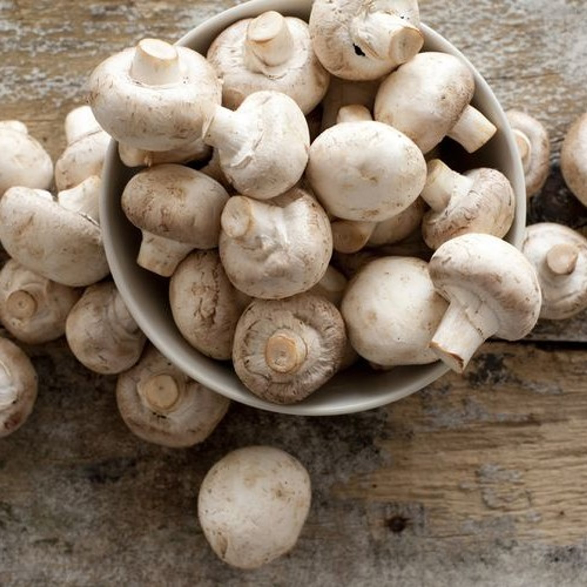 MUSHROOMS