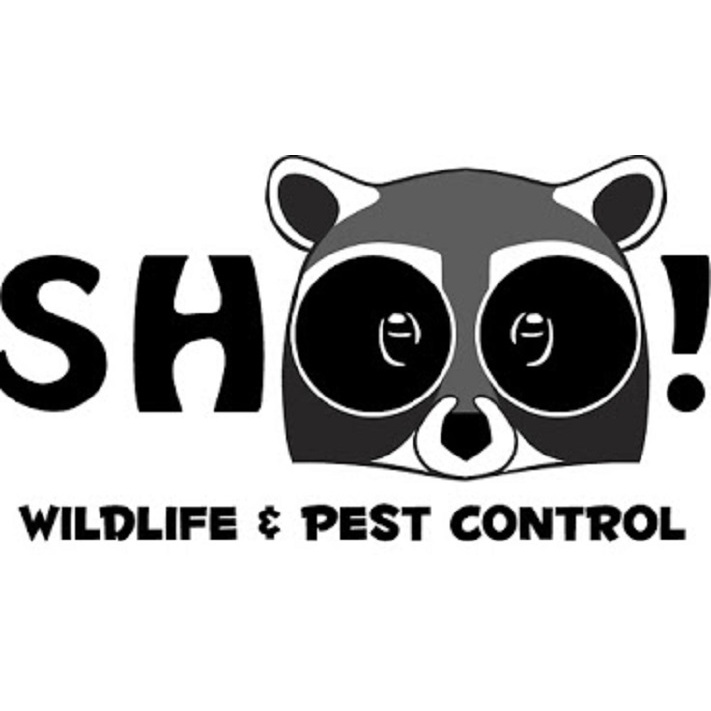ShOO! Wildlife & Pest Control