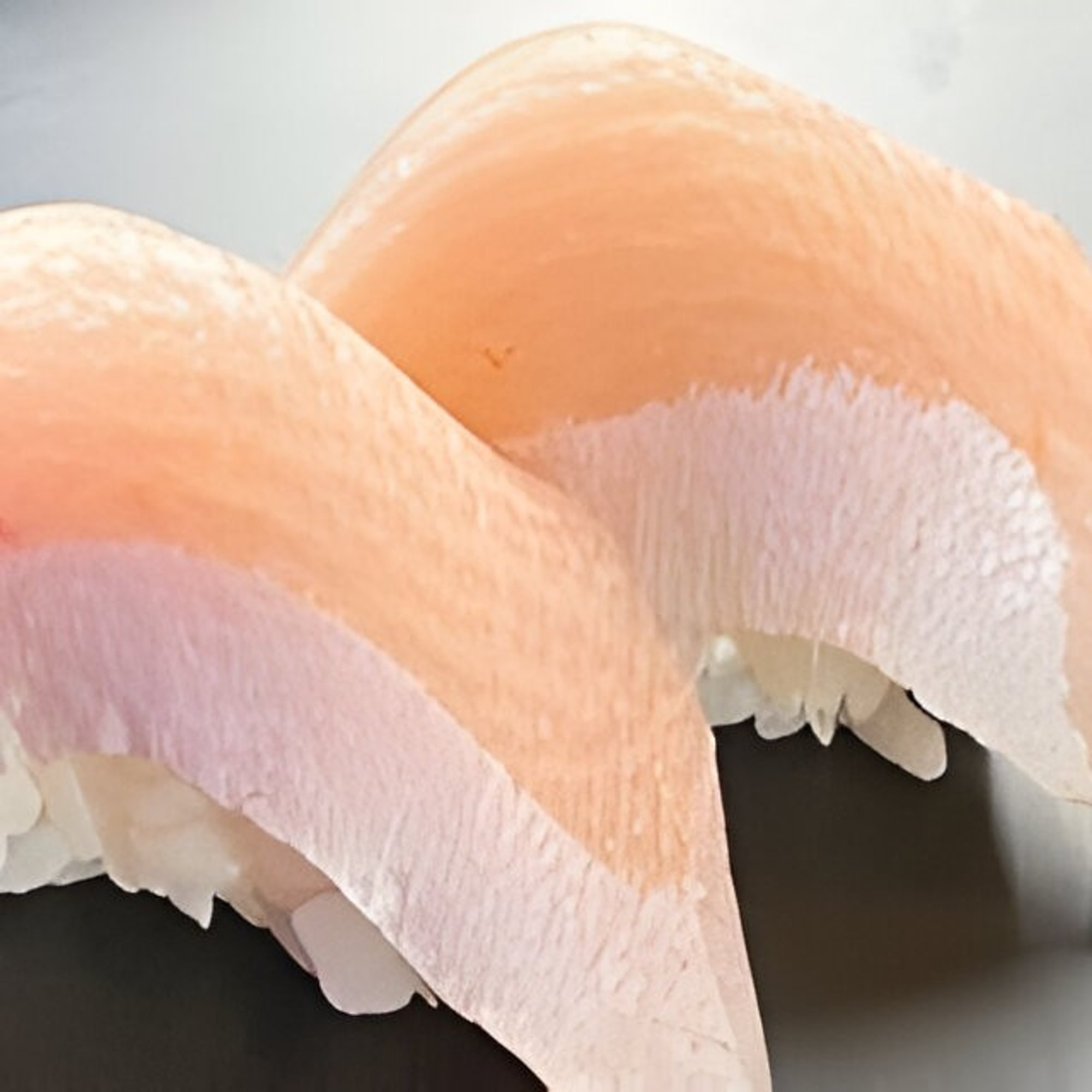 Yellowtail Belly Sushi