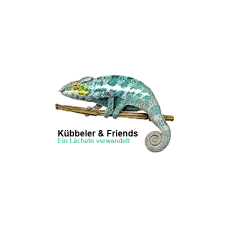 Logo von Kübbeler & Friends