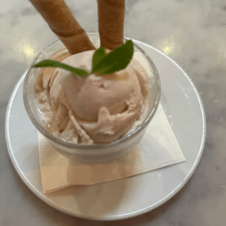 Vanilla bean gelato