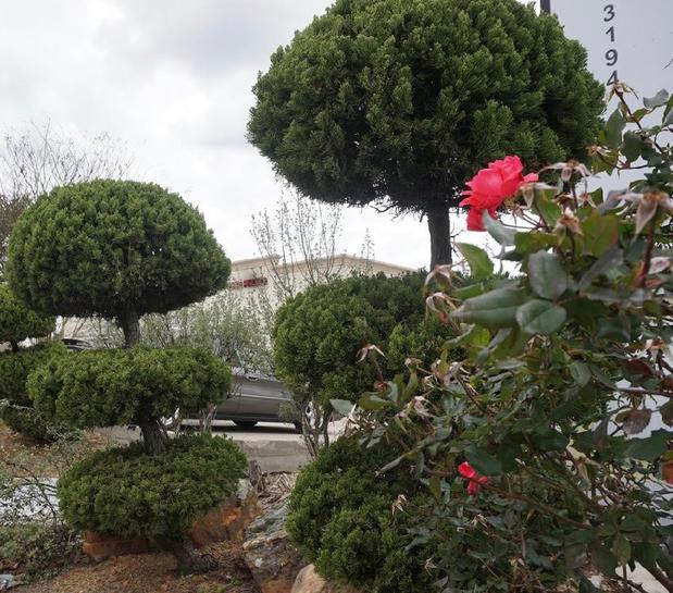 Images Sibrian Landscaping