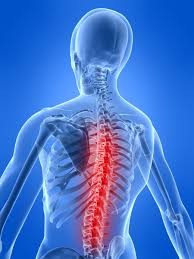 Spectrum Physical Rehab Image
