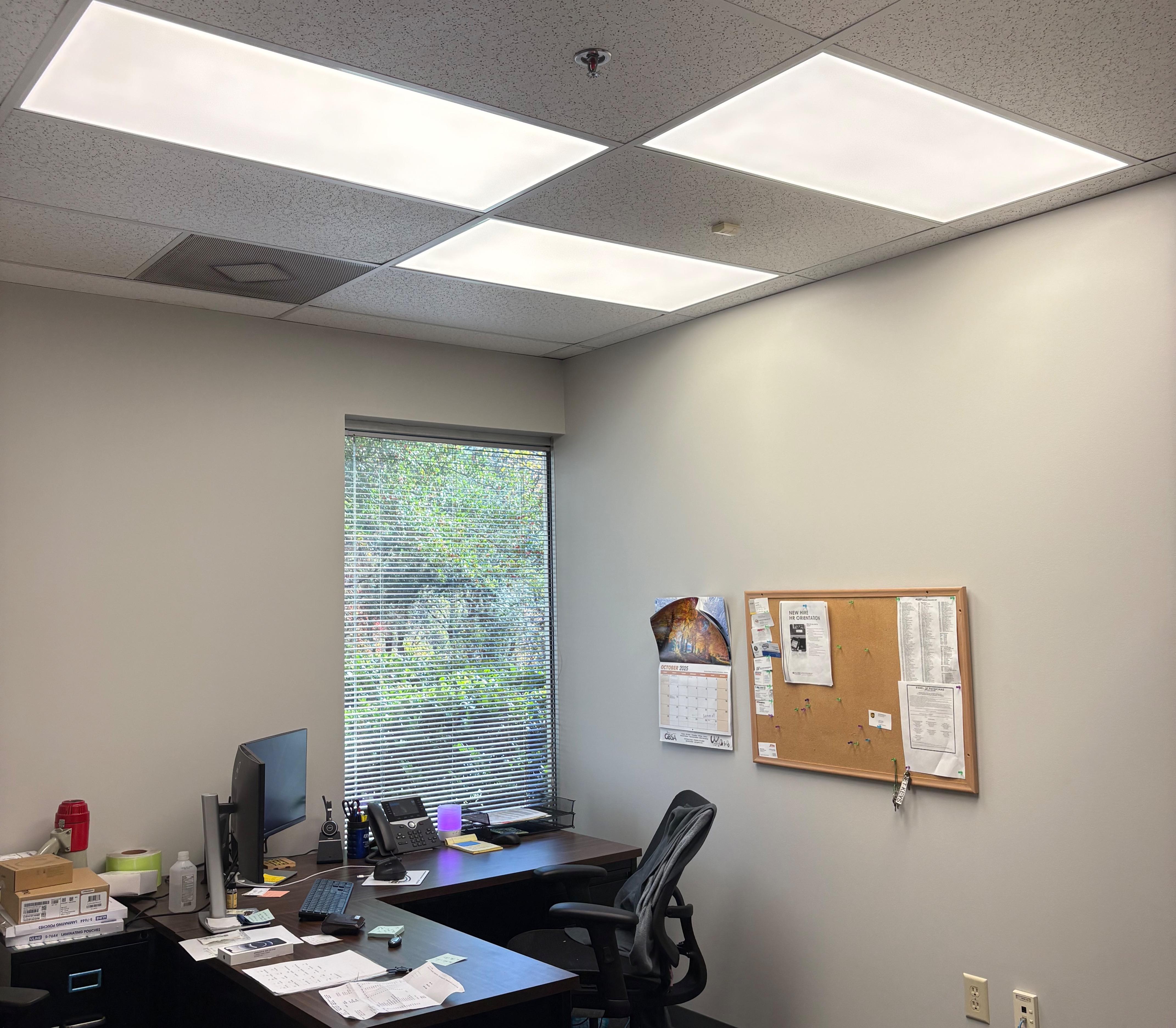 Phoenix Electrical Image